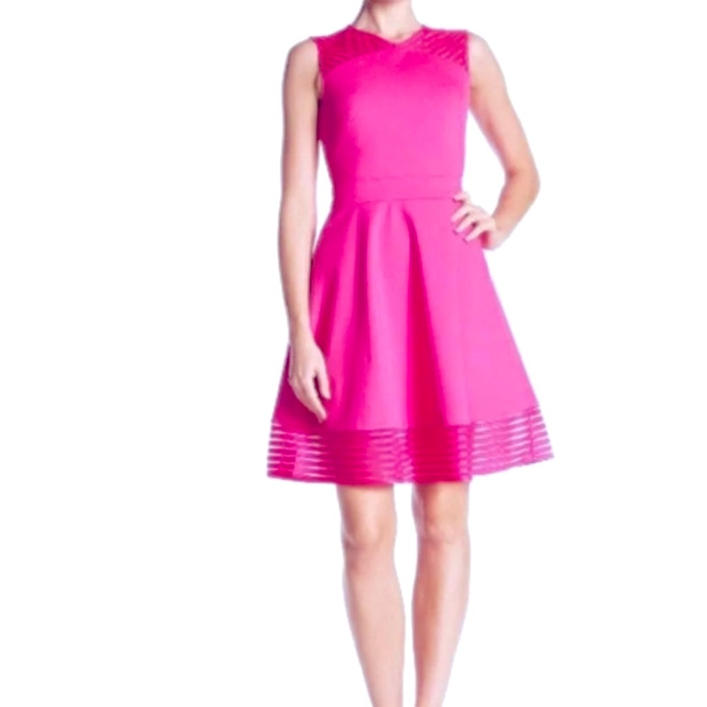 Ted Baker London A-line skater dress hot pink with rose gold zipper